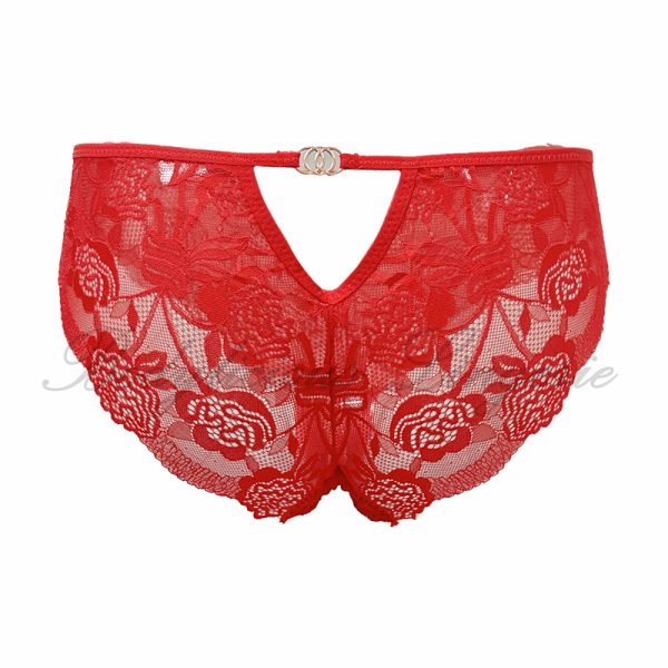 Floral Full Lace Bikini