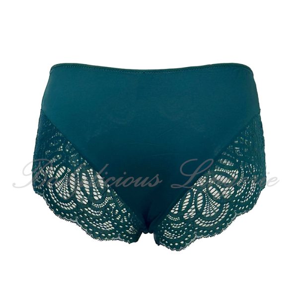 Plus Size Nylon Lace Full Panty