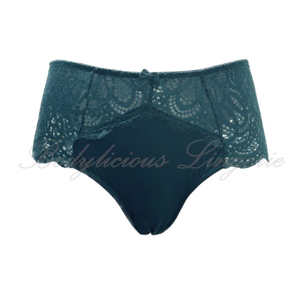 Plus Size Nylon Lace Full Panty