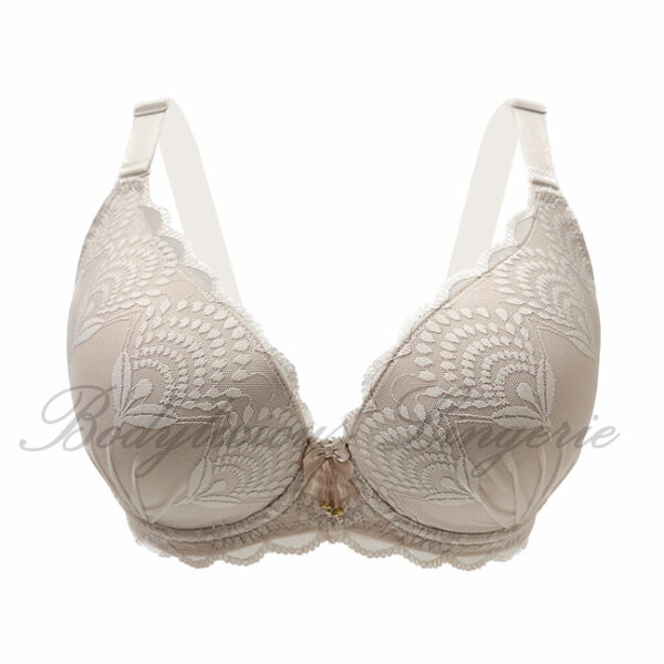 D Cup: Elegant Lace Push-Up Bra