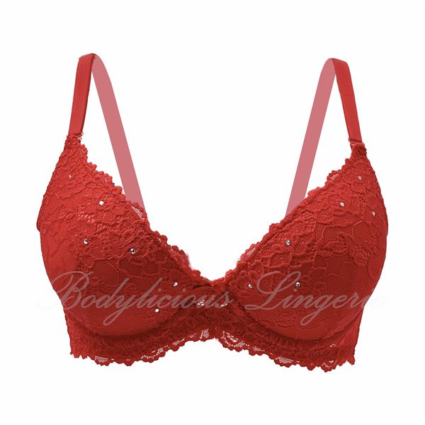Floral Lace Underwired Bra With Rhinestone