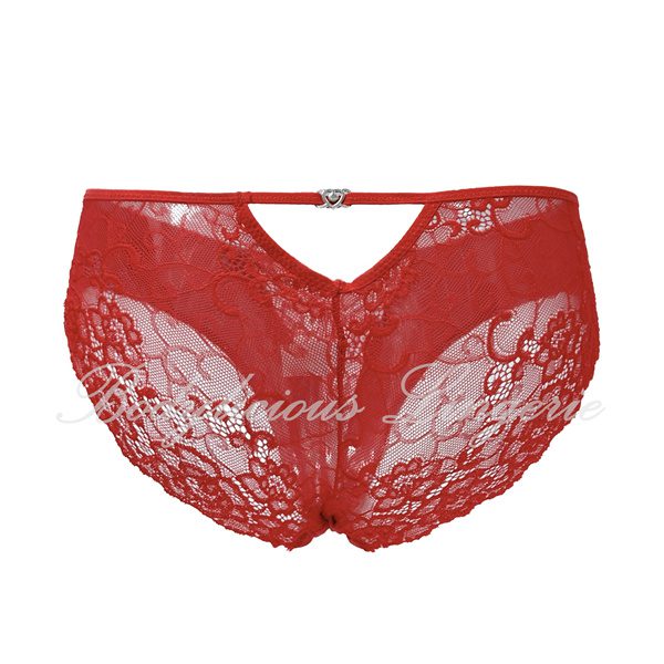 Passion Lace Back Cheeky Panty
