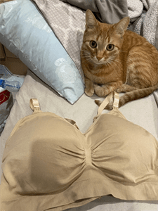 Seamless Nursing Bra photo review
