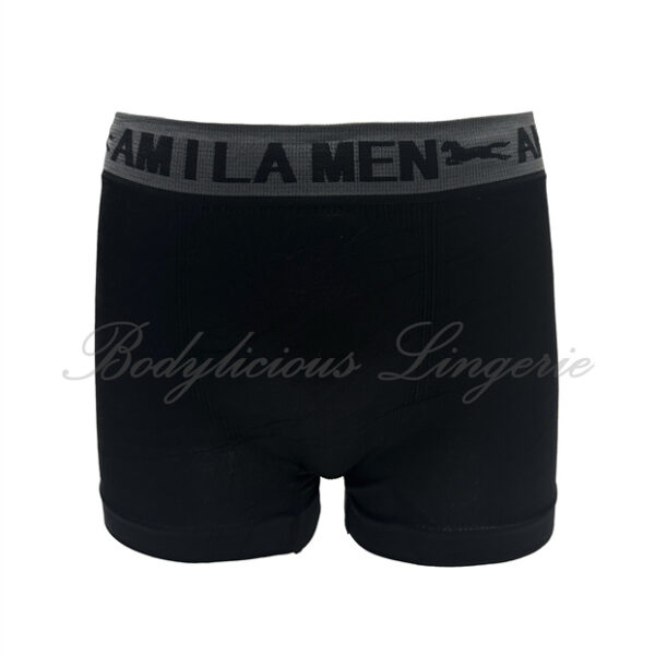 Stripe Seamless Men Boxer