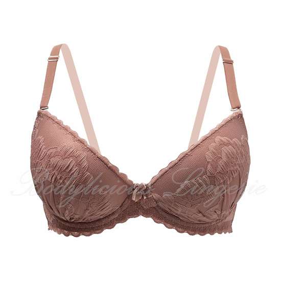 Embroidered Lace Bra