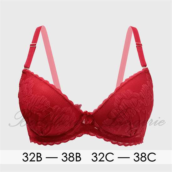 Embroidered Lace Bra