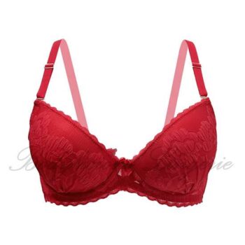 Floral Lace Padded Underwire Bra