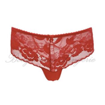 Embroidered Floral Lace Bikini