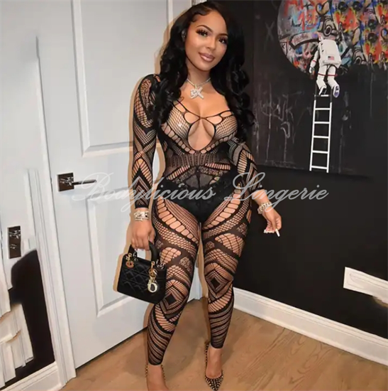 Long Sleeve Openwork Bodystocking