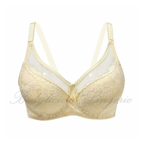 Lace Bra with Sheer Mesh Inserts
