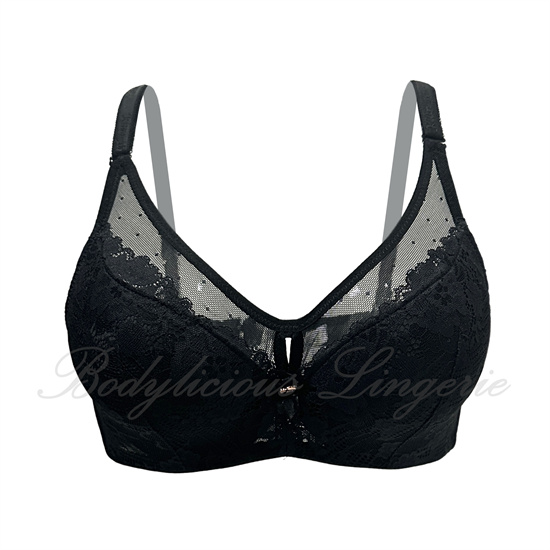 Lace Bra with Sheer Mesh Inserts