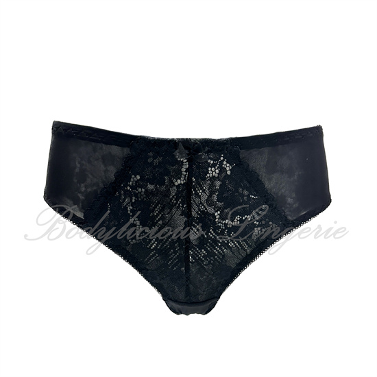 Lace & Sheer Mesh Panty