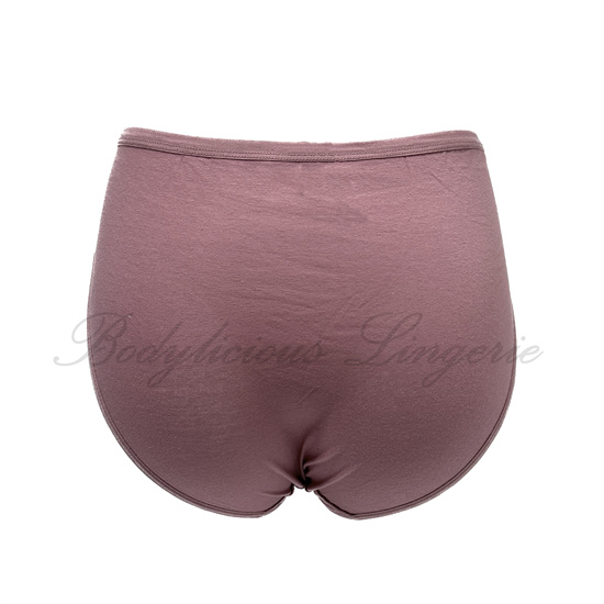 Women's mid - rise modal panties, delicate lace waistband, breathable & stylish.