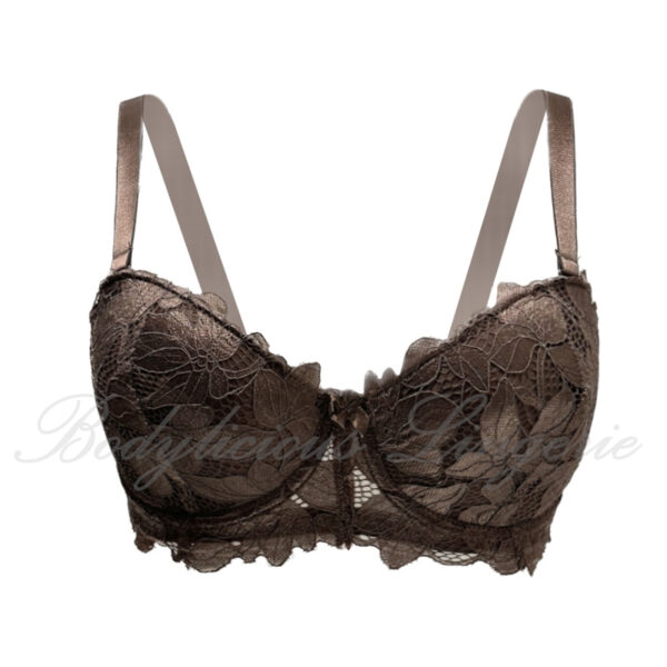 D/DDCup Light Padded Lace Bra