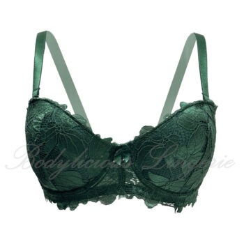 D/DDCup Light Padded Lace Bra