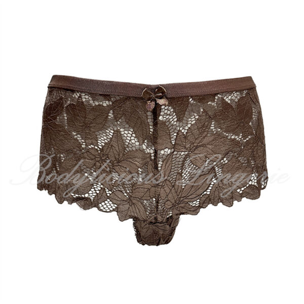 Sheer Floral Lace Briefs