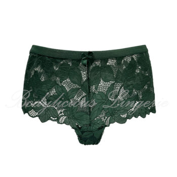 Sheer Floral Lace Briefs