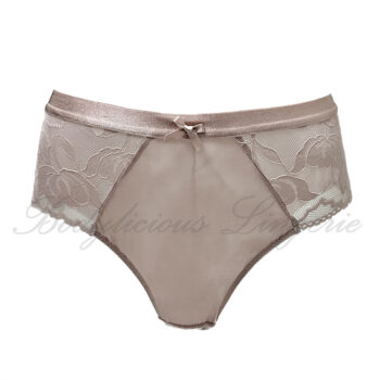 Plus Size Sheer Briefs With Floral Lace