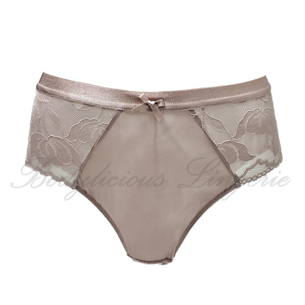 Plus Size Sheer Briefs With Floral Lace