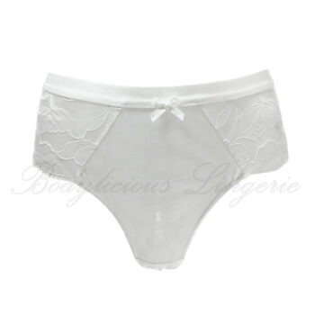 Plus Size Sheer Briefs With Floral Lace