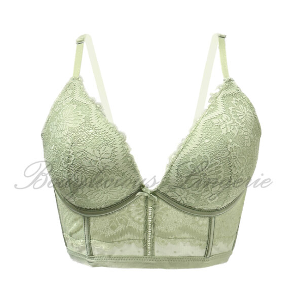 B/C cup: Floral Lace Longline Bra