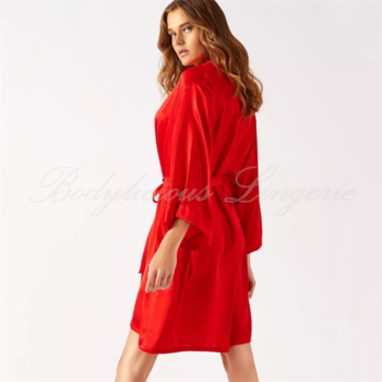 Red Satin Robe