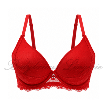 Padded Lace Underwire Bra
