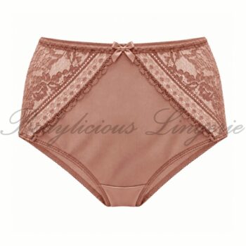 Plus Size High Waist Lace Panel Briefs