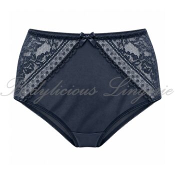 Plus Size High Waist Lace Panel Briefs